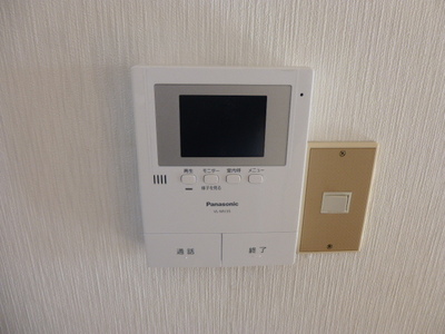 Security. Monitor with intercom