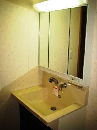 Wash basin, toilet. Indoor (11 May 2013) Shooting