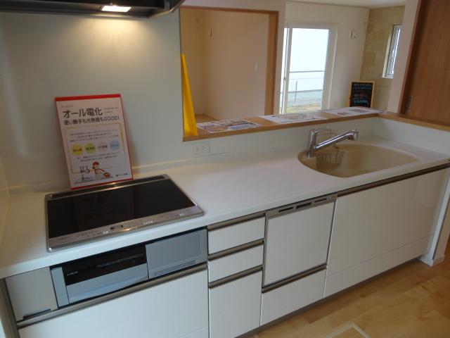 Kitchen. Indoor (11 May 2013) Shooting