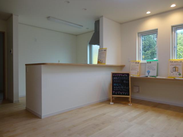 Living. Indoor (11 May 2013) Shooting