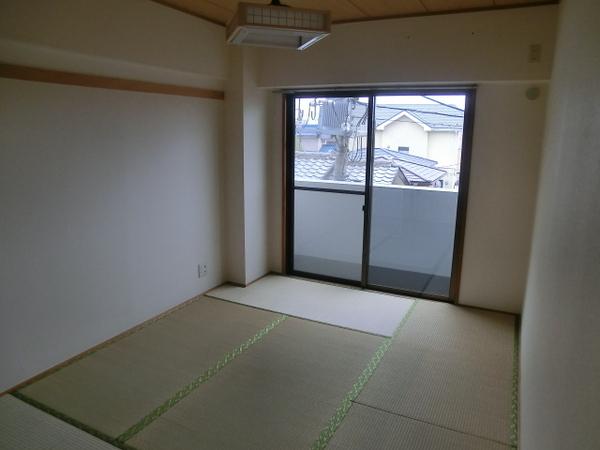 Other room space. Calm Japanese-style room