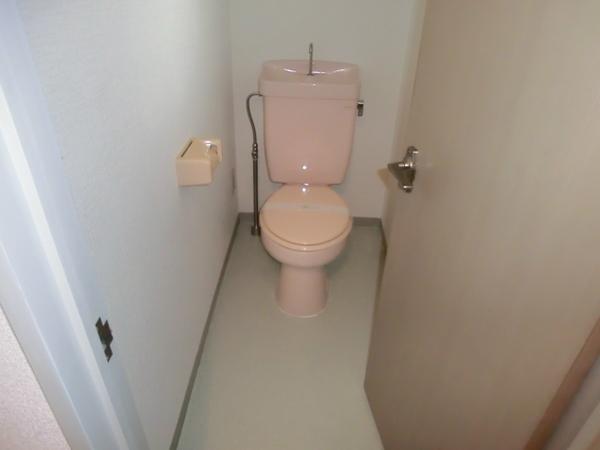 Toilet. Western-style toilet