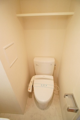 Toilet. Toilet also has a shelf to (cleaning toilet seat with heater) top. 