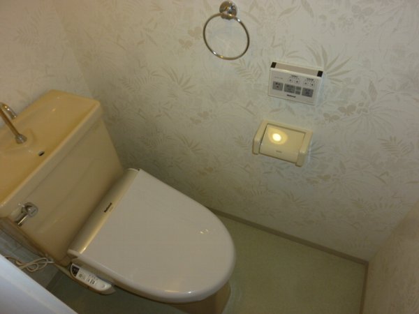 Toilet