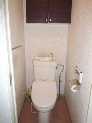 Toilet. Convenience has a shelf paper, or the like can be accommodated. With cleaning warm toilet seat (leaving product)