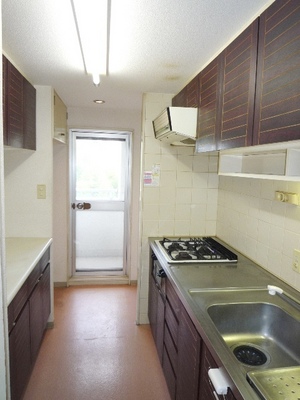 Kitchen. Bright has a door to a storage-rich kitchen balcony