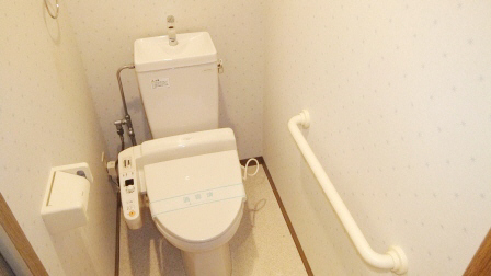 Toilet. Washlet is the type of toilet