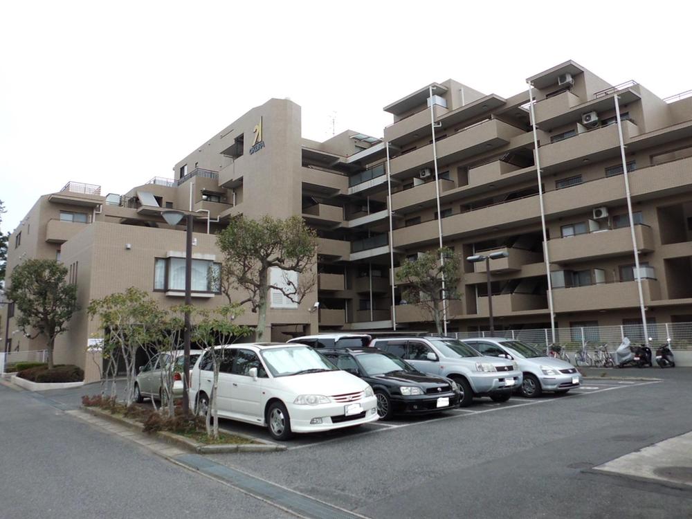 Local appearance photo. Local (May 2013) Shooting