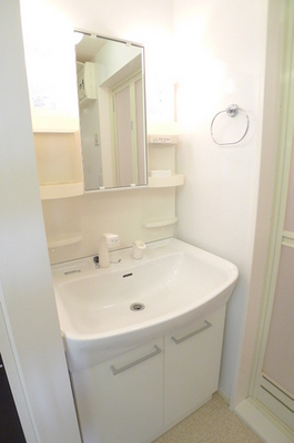 Washroom. Bathroom Vanity