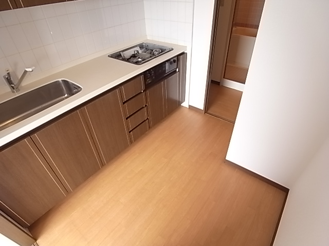 Kitchen. 3-burner stove, With grill. Separate kitchen space became popular.