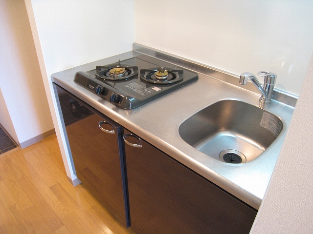 Kitchen. Two-burner stove is a system Kitchen