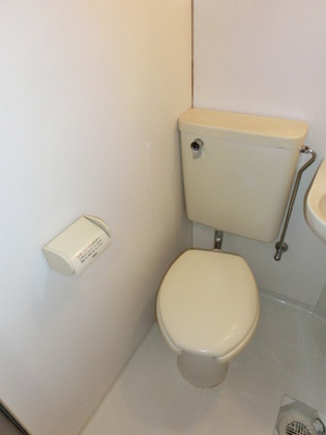 Toilet. Western-style toilet