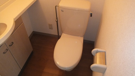 Toilet. Stand-alone wash basin is located in the toilet space