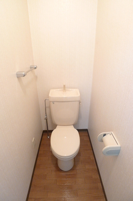 Toilet. Toilet