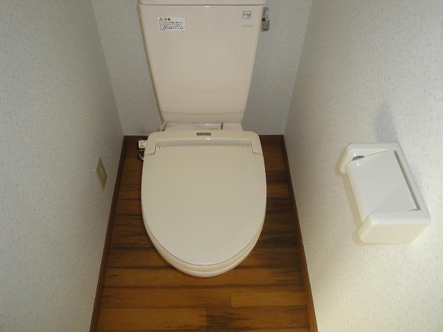 Toilet. Bright toilet