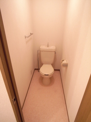 Toilet. Of depth is a spacious Western-style toilet ☆ 