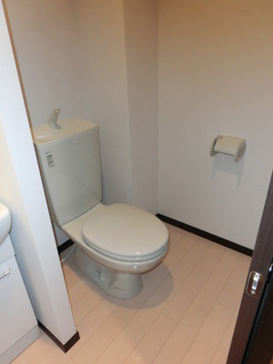 Toilet. Western-style toilet