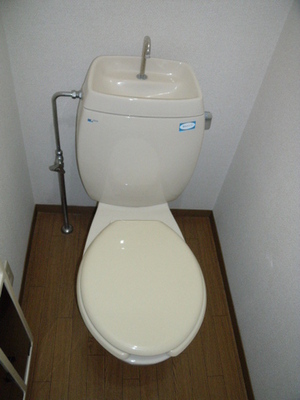 Toilet. It is a Western-style toilet