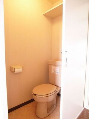 Toilet. It is with a convenient shelf to the toilet