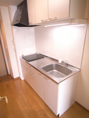 Kitchen. IH type of two-necked system Kitchen ☆