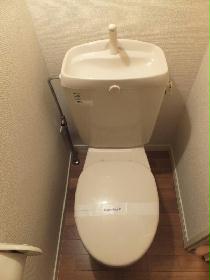 Toilet. Happy to live alone front and separate toilet