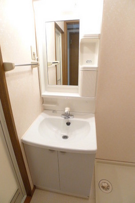 Washroom. Bathroom vanity