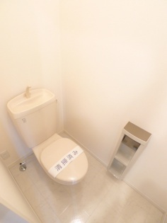 Toilet. Spacious toilet