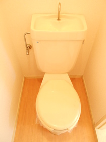 Toilet. WC with cleanliness