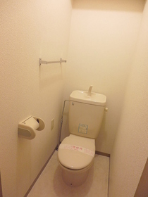 Toilet. It is very clean toilet.