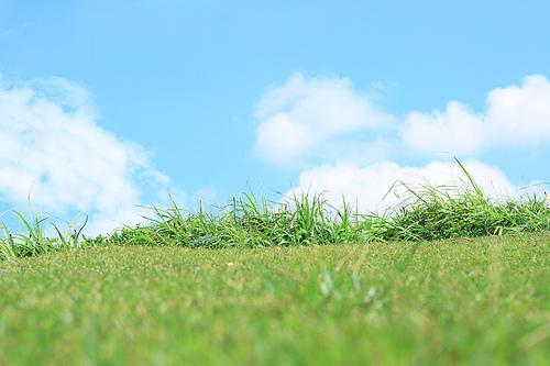 Other. We look forward to your inquiry ☆ Mi