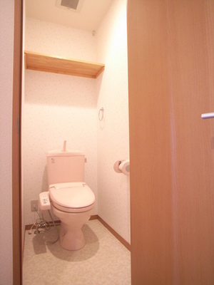 Toilet. It is the toilet is with a shelf and a bidet.