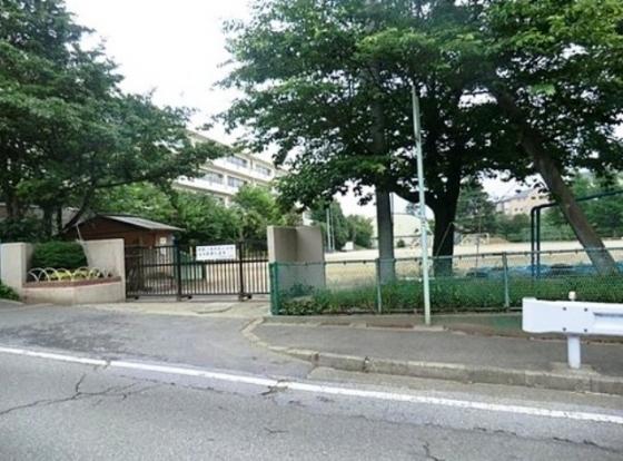 Primary school. Kanasugidai elementary school [Choice] 
