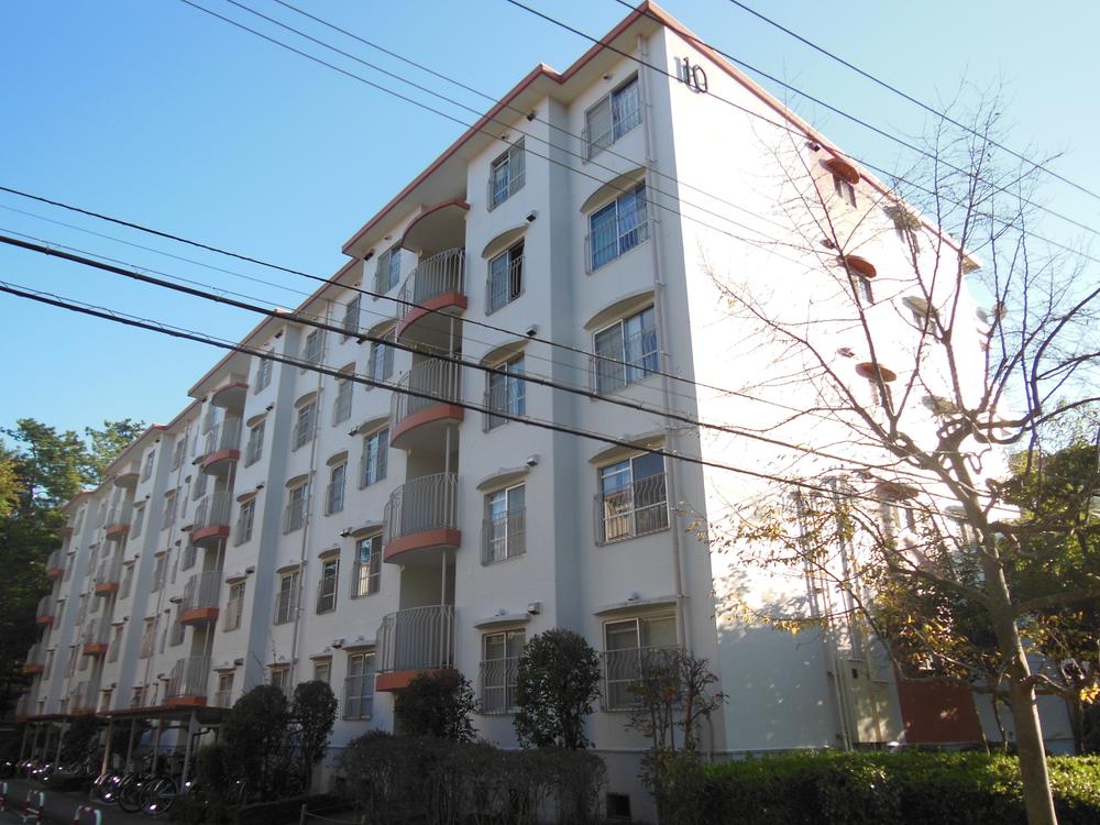 Local appearance photo. Local (10 May 2013) Shooting