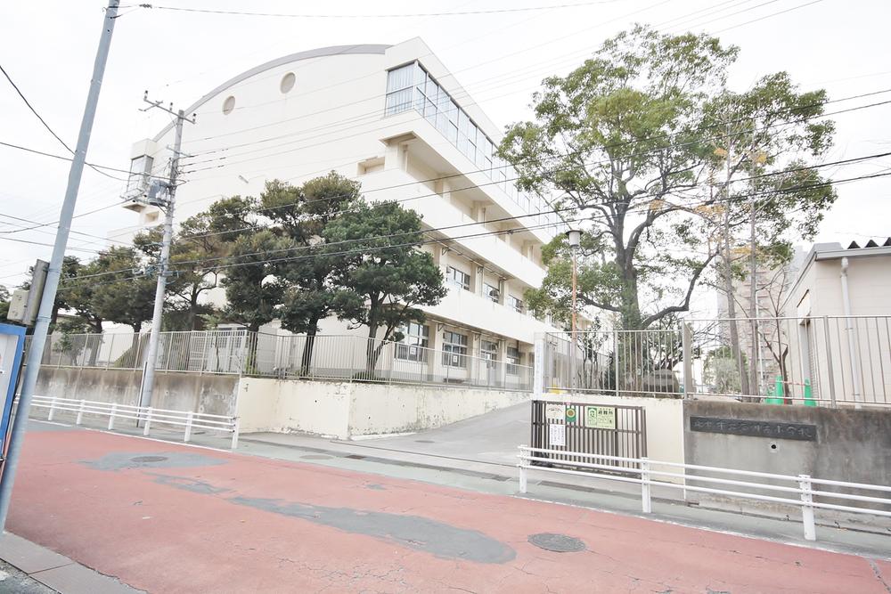 Primary school. Sea Jinnan Elementary School