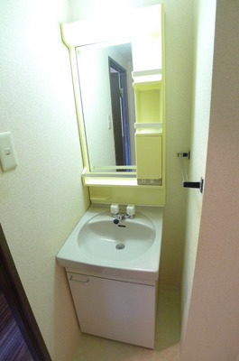 Washroom. Bathroom vanity