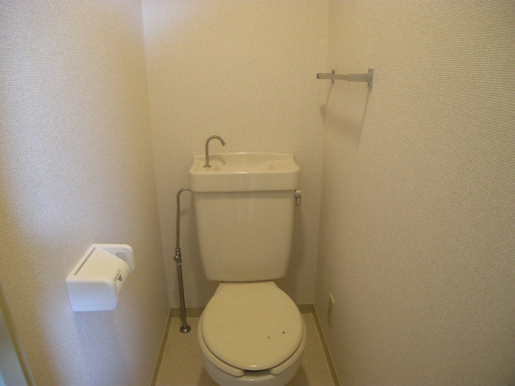 Toilet. There is a shelf on the toilet top