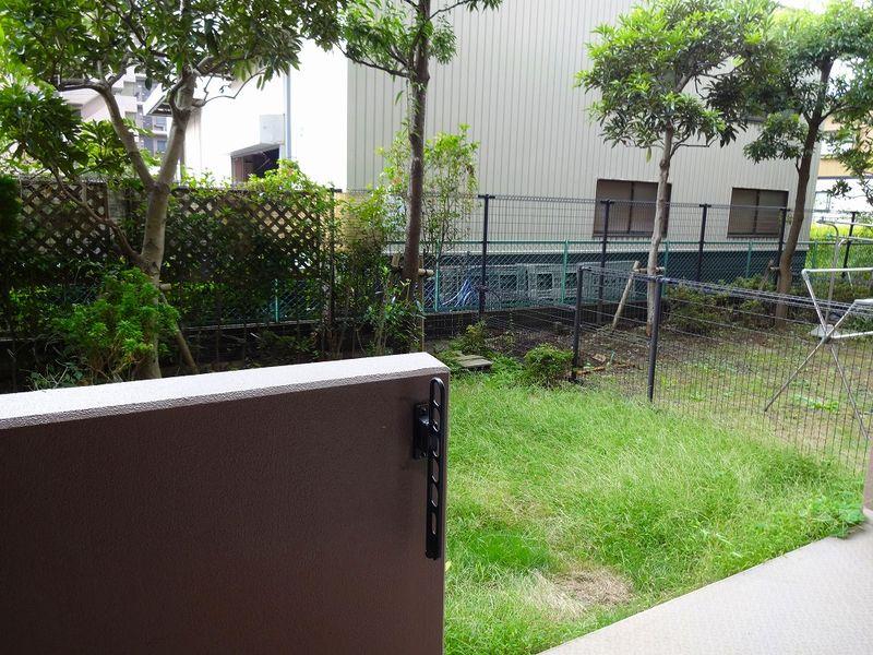 Garden. Private garden