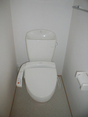 Toilet. Cleaning toilet seat