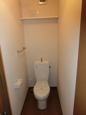 Toilet. Western-style toilet