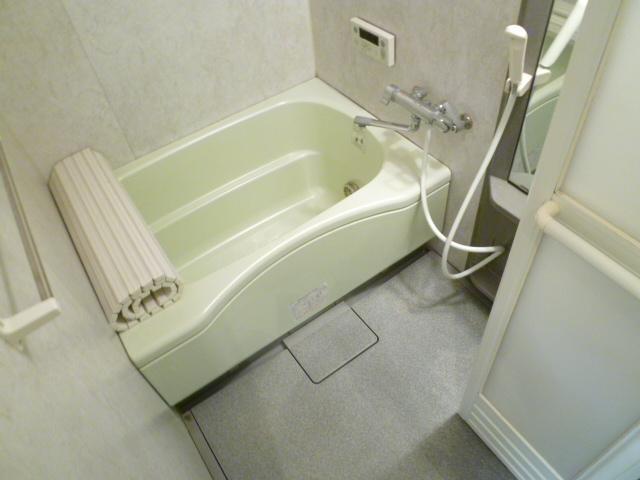 Bath. Stylish bathroom with a Reheating.