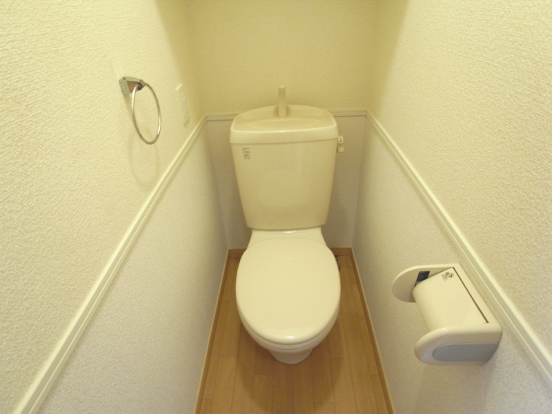 Toilet. It is a toilet with a clean of