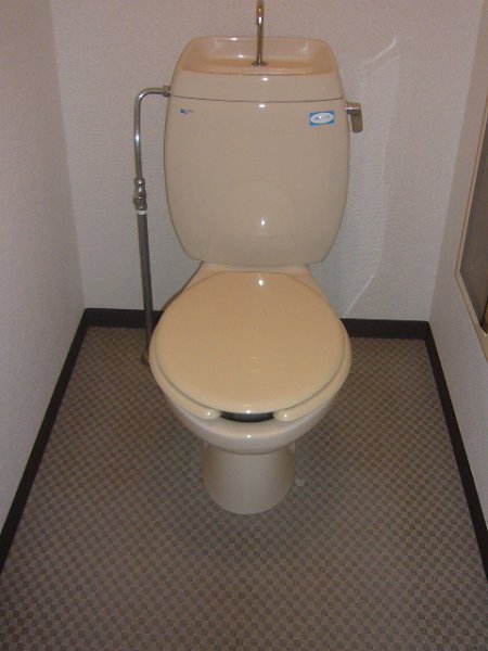 Toilet. Toilet