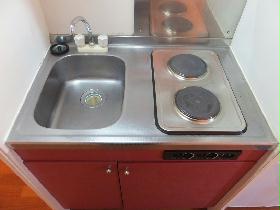 Kitchen. Two-burner electric stove