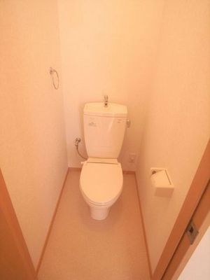 Toilet. Warm Rhett of Attaka toilet seat