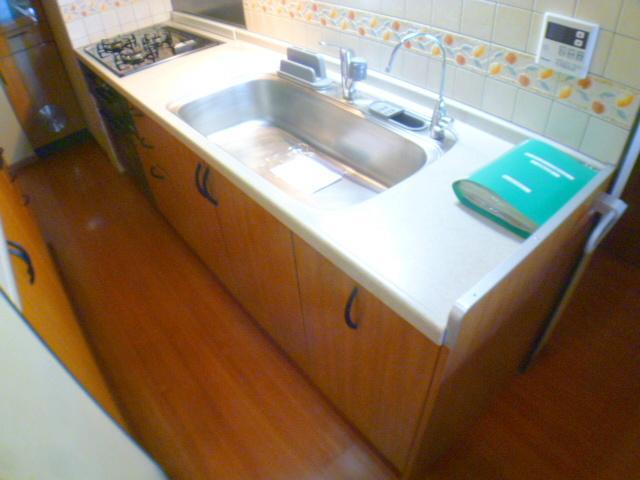 Kitchen. Gorgeous kitchen has become an island-style