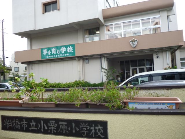 Primary school. 540m up to municipal Small Kurihara elementary school (elementary school)