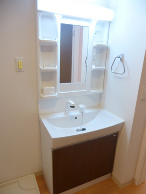 Washroom. Shampoo dresser