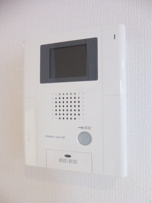 Security. Security aspects peace of mind in the intercom with TV monitor