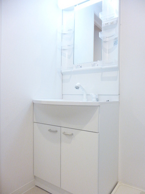 Washroom. Independent wash basin with shampoo dresser