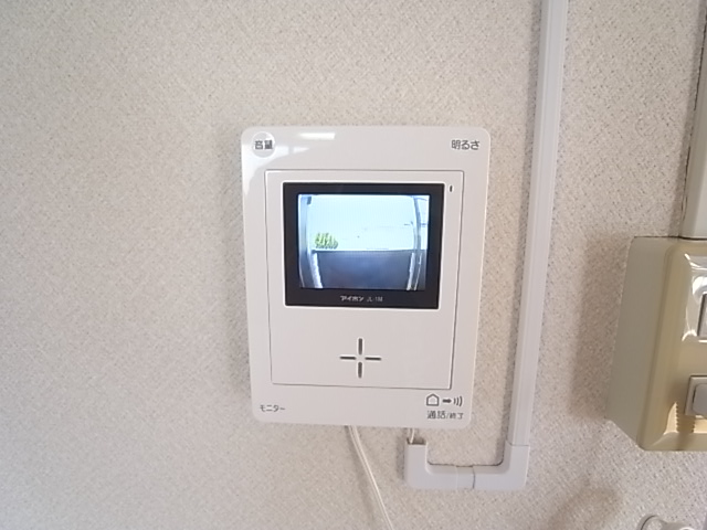 Security. The confirmation of visitors in TV Intercom.